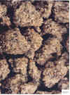 rocks.jpg (118768 bytes)